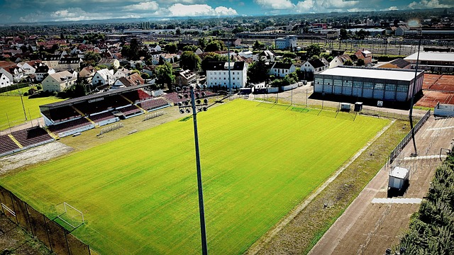 原因导致这 原因导致这