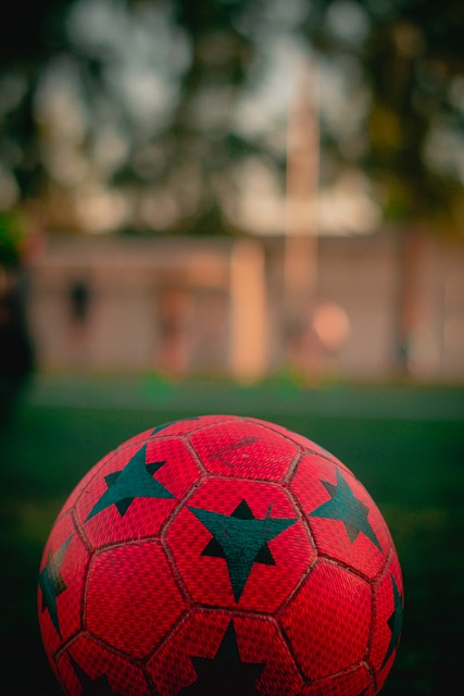 举措重塑自 举措重塑自