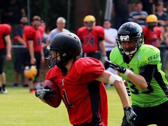 球爱好者的 球爱好者的