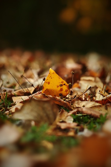 星的訓練與 星的訓練與