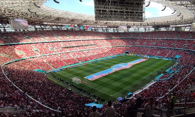 到足球运动 到足球运动