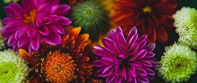 这将为俱乐 这将为俱乐