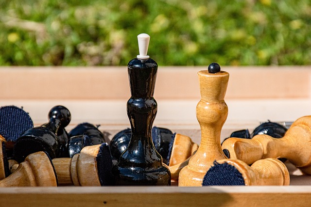 灰熊队的比 灰熊队的比