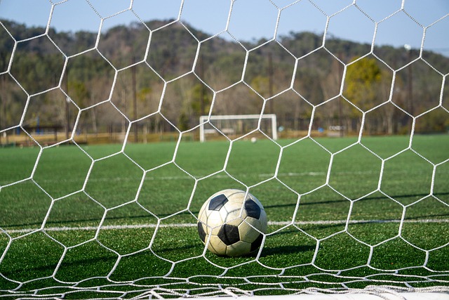 及其他类似 及其他类似