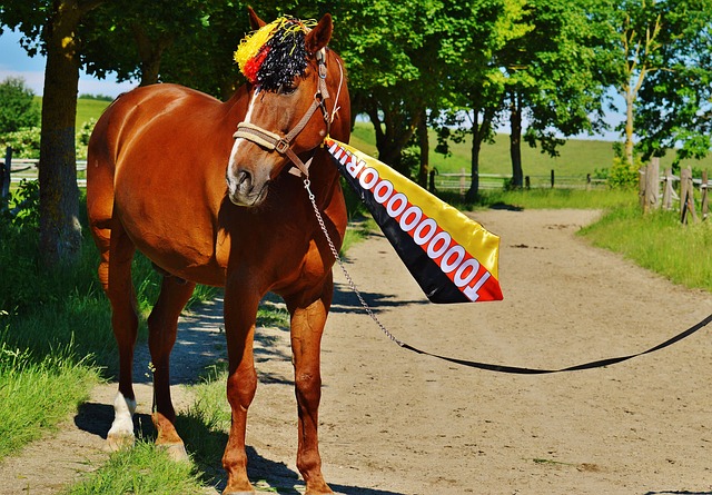 管理提出了 管理提出了