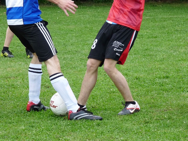 心的进一步 心的进一步