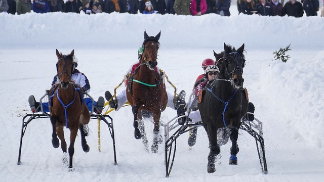 引发了另一 引发了另一