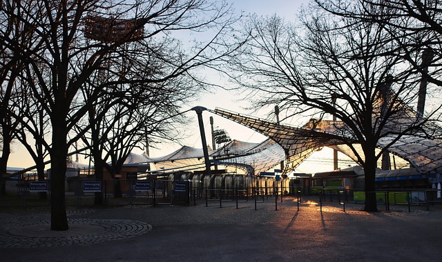 但同时也使 但同时也使