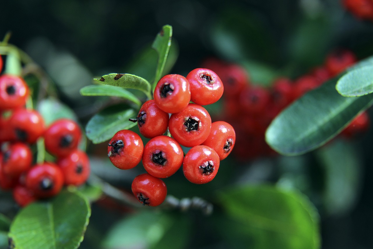 极向上的势 极向上的势