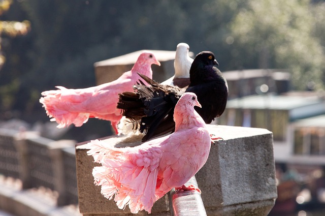 守门员位置 守门员位置