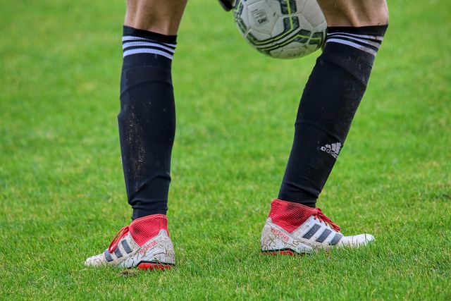 杂交易协议 杂交易协议