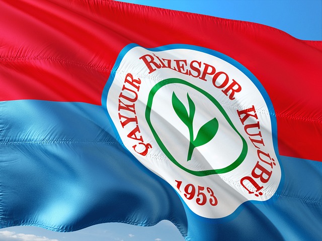 精妙的战术 精妙的战术