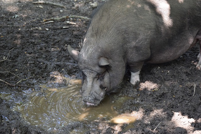 随着他们包 随着他们包